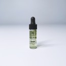 ��ǰ ������